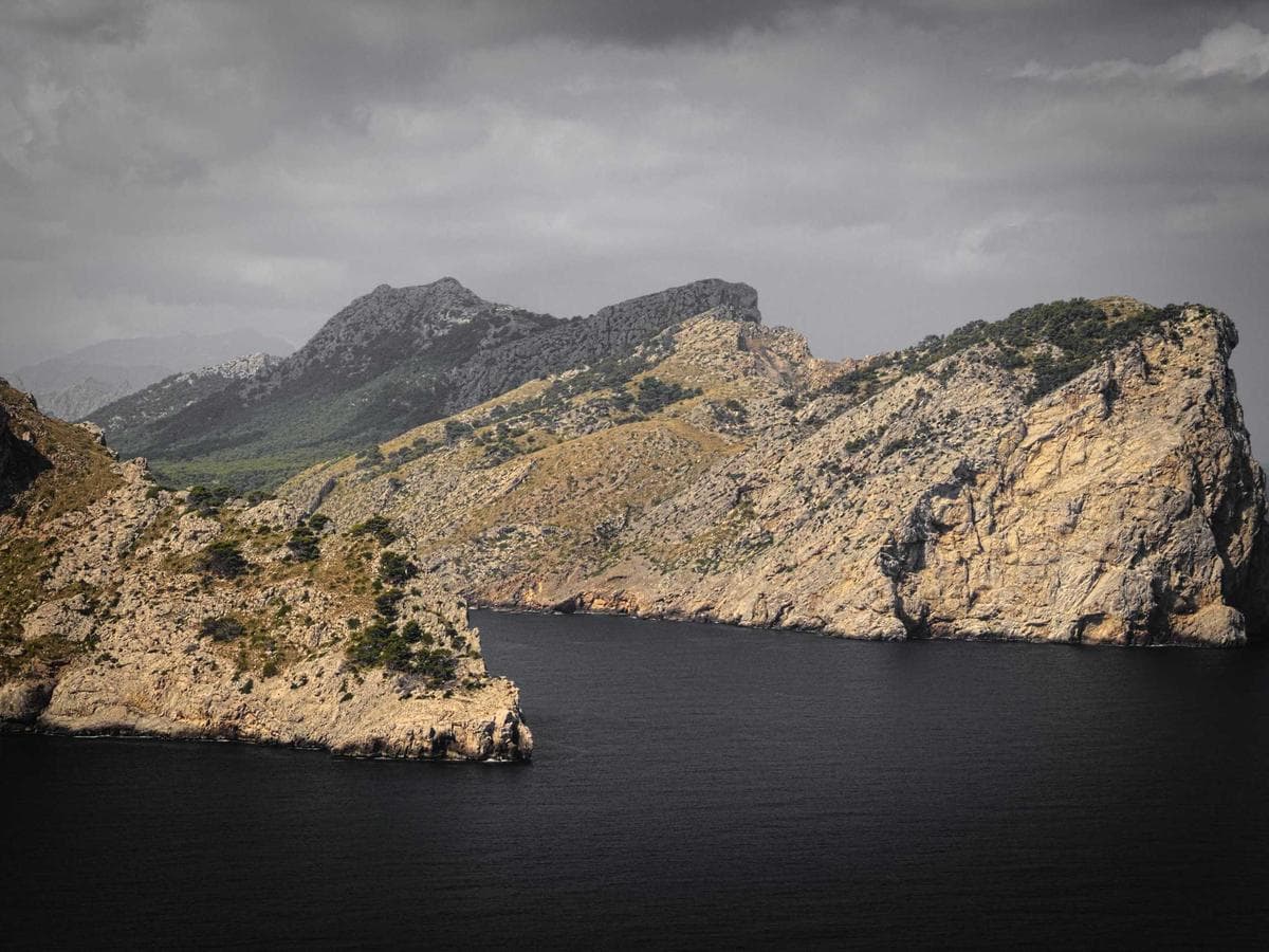 World In Need International